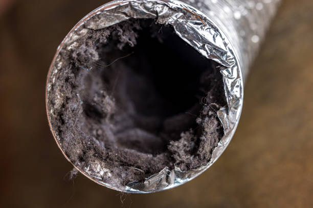 Best Emergency Air Duct Cleaning  in Nash, TX