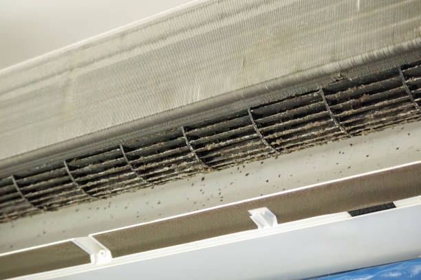 HVAC System Cleaning in Nash, TX